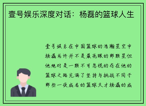 壹号娱乐深度对话：杨磊的篮球人生